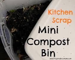 Whether you make your own compost or buy it from the store, it's an essential part of growing a healthy and productive garden. Create A Mini Compost Bin Preparednessmama Compost Diy Compost Compost Bin Diy