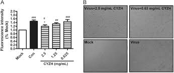Chinese Herbal Medicine Compound Yi Zhi Hao Pellet Inhibits Replication Of Influenza Virus Infection Through Activation Of Heme Oxygenase 1 Sciencedirect