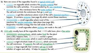Animal cells and plant cells are similar in that they are both eukaryotic cells.these cells have a true nucleus, which houses dna and is separated from other cellular structures by a nuclear membrane. Biology Igcse Animal And Plant Cells Diagram Quizlet