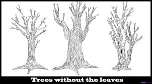Drawing A Tree Without Leaves Kids Drawing Coloring Page Tree Drawing Palm Tree Drawing Realistic Drawings