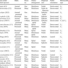 Image result for Courtoisina assimilis