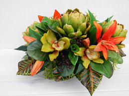 Mt annan, sydney australia ~. Pin On Blooms