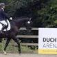 British Dressage (Intro - PSG & FSM) event image