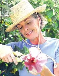 Pope Benedict XVI begins ministry as head of Church