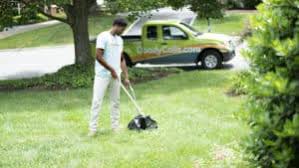 Are you tired of picking up after your pets all the time? Pet Waste Removal Companies Near Me