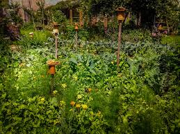 Bei der gestaltung ihres gartens nach dem konzept der maßstabsgetreue skizzen helfen ihnen dabei, ihr grundstück nach ihren wünschen zu planen. Permakultur Garten Planen Daran Sollten Sie Denken