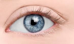 Beauty glazed 18 farbe lidschatten palette matte schimmer maßgeschneiderte lidschattenfarben. Diese Lidschatten Passen Zu Deiner Augenfarbe