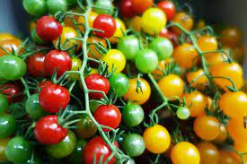 Check spelling or type a new query. 17 Of The Best Cherry Tomatoes To Grow Gardener S Path