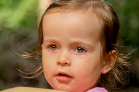 Meine Arbeit :: Sonja-Hess