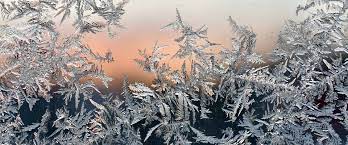 Sign in to view status or complete next steps on your loan. Frost Klimagefahren