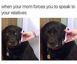 Learn the difference today and discover how to talk to your dog. When Mom Forces You To Talk To Relatives On The Phone Dogs Know Your Meme