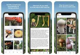 Check spelling or type a new query. The 10 Best Apps For Identifying Plants 2020 S Cream Of The Crop