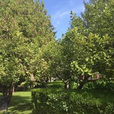 We did not find results for: 10 Nature Parks In Satu Mare That You Shouldn T Miss