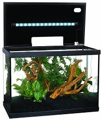 Marina Led Aquarium Kit Deal For The Beginning Aquarist The Marina 10g Led Aquarium Kits Comes Equipped With Everything Need Aquarium Kit Aquarium Fish Tank