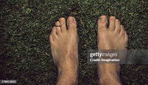 85 Barefoot Landing Stock Photos, High-Res Pictures, and Images