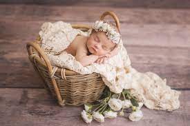 Kelly Kristine Photography Newborn Baby Girl And Flowers Baby Girl Newborn Pictures Newborn Baby Photography Baby Girl Photography