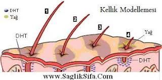 Masturbasyon Ve Sac Sagligi Sac Dokulmesi Sac Ve Cinsellik Sac Beslenmesi