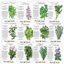 Culinary Herb Seed Collection Culinary Herbs Herb Seeds Planting Herbs