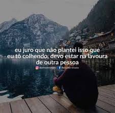 Eu Juro Que Nao Plantei Isso Status E Imagens Pensador Sincero Mensagem De Superacao Frases De Superacao