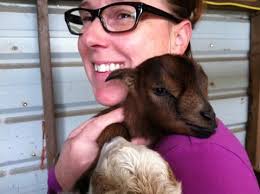 Garner Tree Services