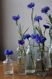 Cornflower Unique Flower Arrangements Cornflower Flower Arrangements
