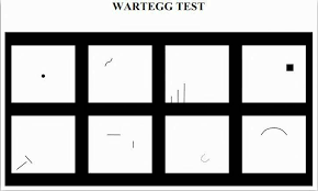 Setelah selesai tes tpa, selanjutnya adalah tes psikotes, yaitu wartegg test, draw a man test, dan draw a tree test. Fenny Apriliyanti Pengalaman Tes Seleksi Beswan Djarum 2017 2018