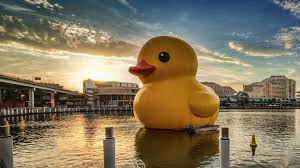 Rubber duck free vector we have about (378 files) free vector in ai, eps, cdr, svg vector illustration graphic art design format. Large Rubber Duck Data Src Giant Rubber Duck Background 1920x1080 Wallpaper Teahub Io