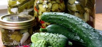 Maybe you would like to learn more about one of these? Time To Make Homemade Pickles