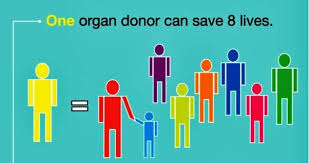 Organ transplantation system under contract with the federal government. Do You Support Organ Donation And Why Quora