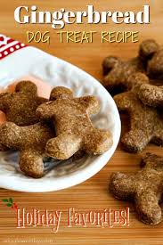 Easy Gingerbread Dog Treats Recipe Healthy Dog Treats Homemade Dog Treats Homemade Recipes Gingerbread Dog Treats Recipe