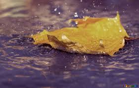 Осінній дощ зображення осінній дощ картинки листя № 34697 | torange.biz