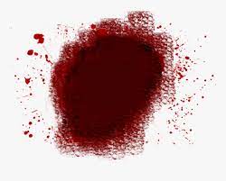 We did not find results for: Blood Splatter Transparent Png Download Realistic Blood Splatter Png Png Download Kindpng