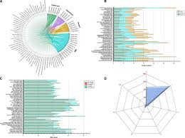 Image result for Girardinia bullosa