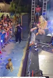 Brazilian Singer Stops Fireworks During Show for A Dog | TikTok