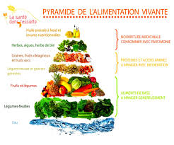 Pyramide De L Alimentation Vivante Alimentation Alimentation Vivante Nourriture