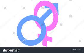 Sex Concept Male Symbol Penetrating Female Stock Illustration 707273719 |  Shutterstock