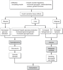 Diabetic ketoacidosis pathophysiology and treatment. Diabetic Ketoacidosis And Continuous Insulin Infusion Management In Pregnancy Obgyn Key