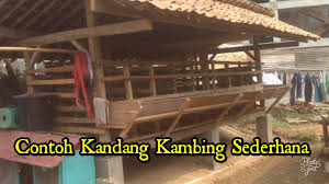 Beli lantai kandang kambing terlengkap & berkualitas harga murah july 2021 terbaru di tokopedia! Contoh Kandang Kambing Sederhana Untuk Ternak Travel Jaya