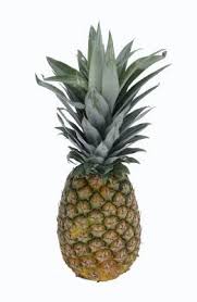Pineapple is a tropical fruit that is rich in important enzymes and nutrients. Pin On Gardener S Style
