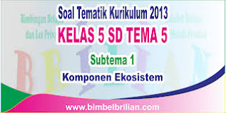 We did not find results for: Soal Tematik Kelas 5 Sd Tema 5 Subtema 1 Komponen Ekosistem Dan Kunci Jawaban Bimbel Brilian