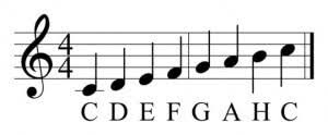 Instrumente wie klavier, akkordeon, trompete, gitarre, trompete, zither. Akkordeon Lernen