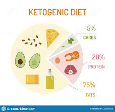 Keto Diet Chart Stock Vector Illustration Of Carb Isolated