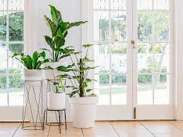 Bring the earthy greenery, colorful flowers, and intoxicating aromas of your favorite outdoor retreat into your home with an indoor container garden. Easy Diy Indoor Garden Tips And Tricks