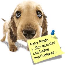 Resultado de imagen de buen fin de semana grupo