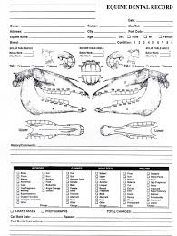 43 complete canine dental assessment chart