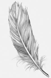 Feather Sketch Feather Tattoo Design Feather Sketch Feather Tattoos
