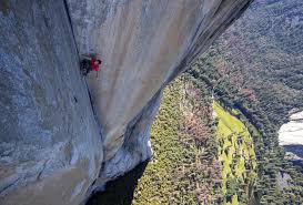 Climbing has always been more than just a sport. Oscar Winner Free Solo S Lesson For Overcoming Life S Challenges