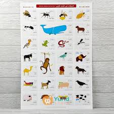 Bengkalis #riau #bahasaarab assalamualaikum warahmatullahi wabarakatuh semoga vidio ini memudahkan dlam menghalaf. Poster Hewan Dalam Al Qur An Yufid Store Toko Muslim