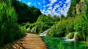 We hope you enjoy our variety and growing collection of hd images to use as a background or home. 1080p Images Nature Windows 10 Hd Wallpaper For Pc