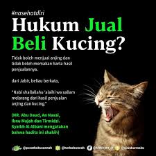 Open Spam Like Free 1 Buku Pbs Di Instagram Semoga Yang Like Dan Komen Aamiin Dimudahkan Urusannya Oleh Allah Ta Ala D Kucing Kutipan Agama Pengetahuan